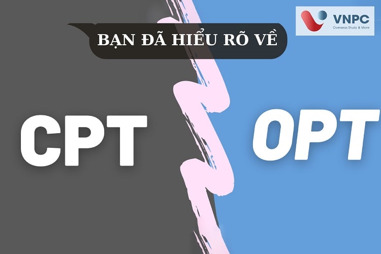 Đăng nhập King88 vina nhận +888K sinh mỹ có được làm thêm không